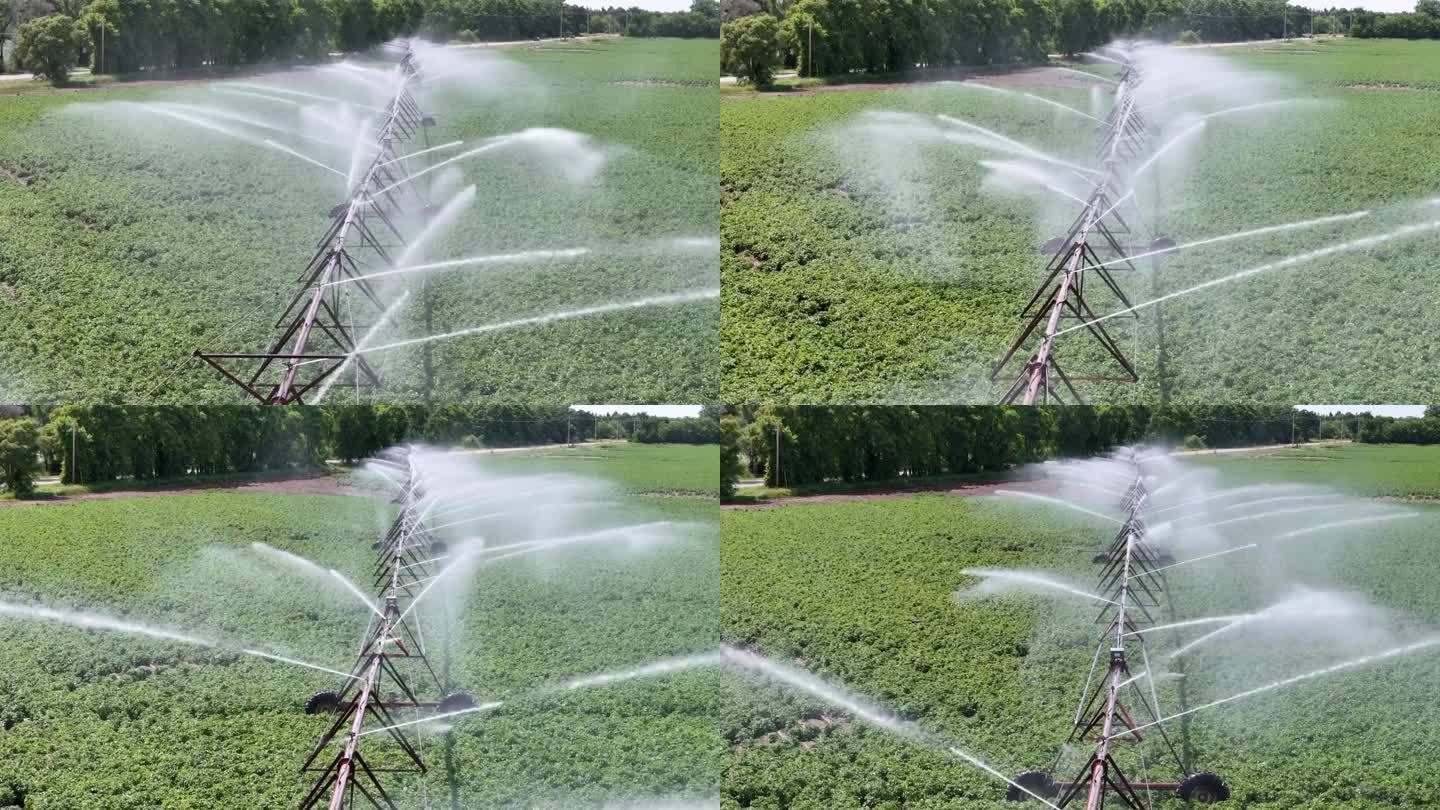 威斯康辛州中部的一片農田正在用灑水系統進行灌溉。