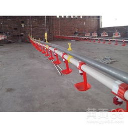 飼養專用設備環保機械喂養養殖水線——水資源專用機械設備制造